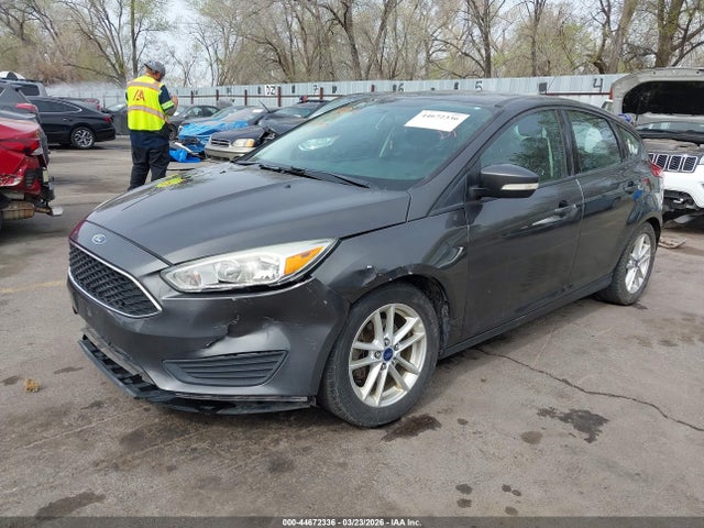 1FADP3K22GL319766 Ford FOCUS SE