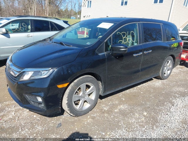 2019 HONDA ODYSSEY 5FNRL6H76KB033978 Photo 1