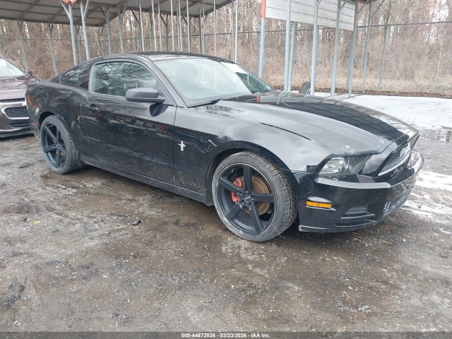 2014 FORD MUSTANG 1ZVBP8AM8E5205769