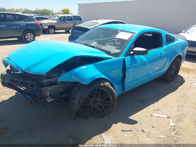 1ZVBP8AM7E5256986 Ford Mustang V6