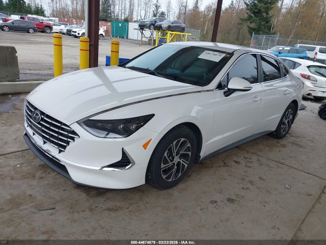 KMHL24JJXPA074080 Hyundai Sonata Hybrid Blue