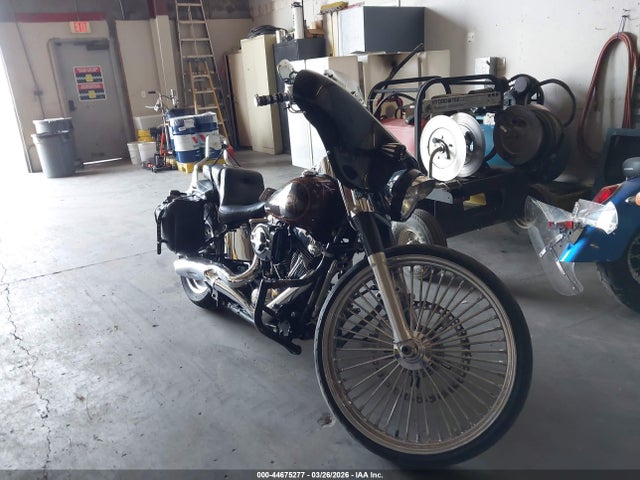 2009 HARLEY-DAVIDSON FLSTF 1HD1BX5329Y053144