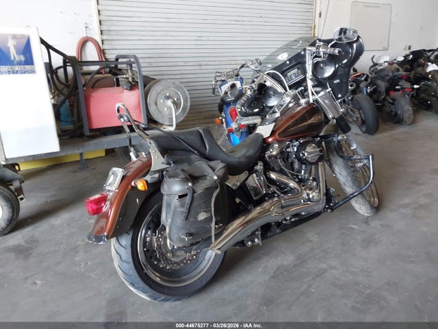 2009 HARLEY-DAVIDSON FLSTF 1HD1BX5329Y053144 Photo 3
