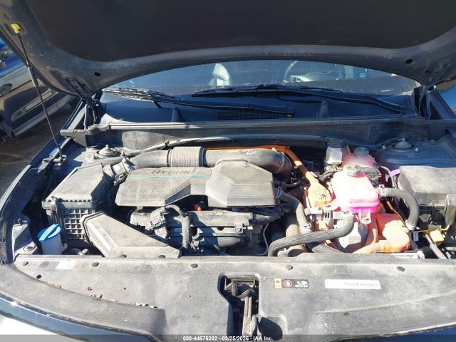 KNDPVCAG3P7031645 KIA Sportage Hybrid Ex