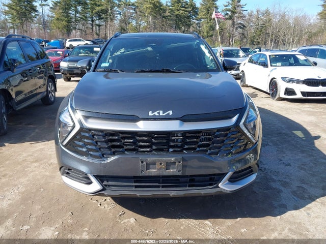 KNDPVCAG3P7031645 KIA Sportage Hybrid Ex