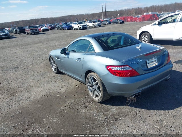 2014 MERCEDES-BENZ SLK 250 WDDPK4HA9EF089283 Photo 2
