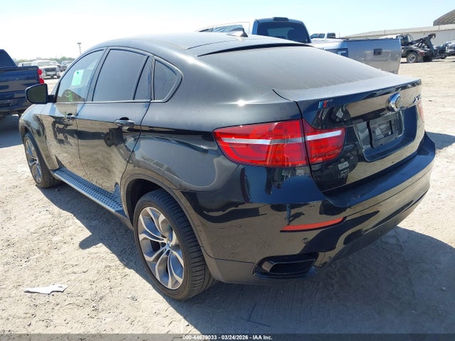 2013 BMW X6 5UXFG8C51DL591924 Photo 2
