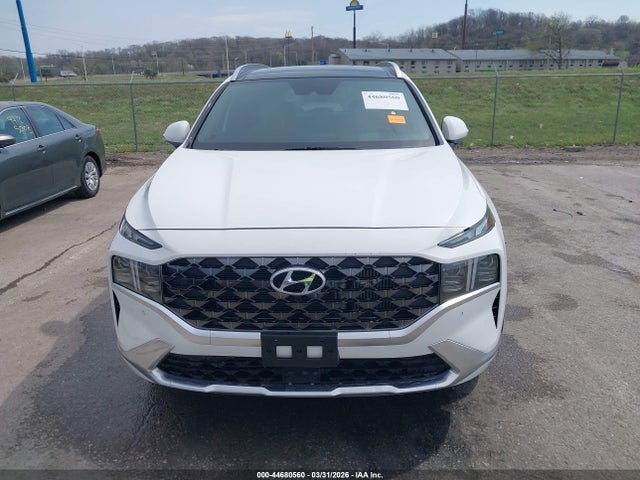 2023 Hyundai Santa Fe Calligraphy მანქანა იყიდება აუქციონზე, vin: 5NMS5DAL6PH579810, აუქციონის ნომერი: 44680560