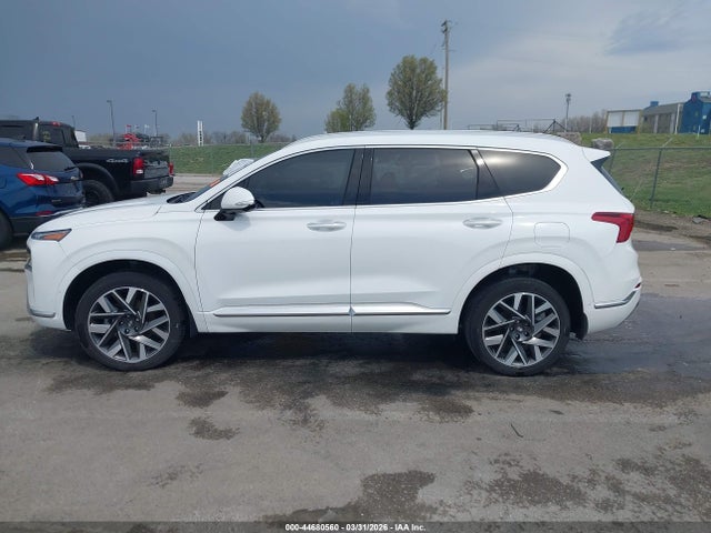 2023 Hyundai Santa Fe Calligraphy მანქანა იყიდება აუქციონზე, vin: 5NMS5DAL6PH579810, აუქციონის ნომერი: 44680560