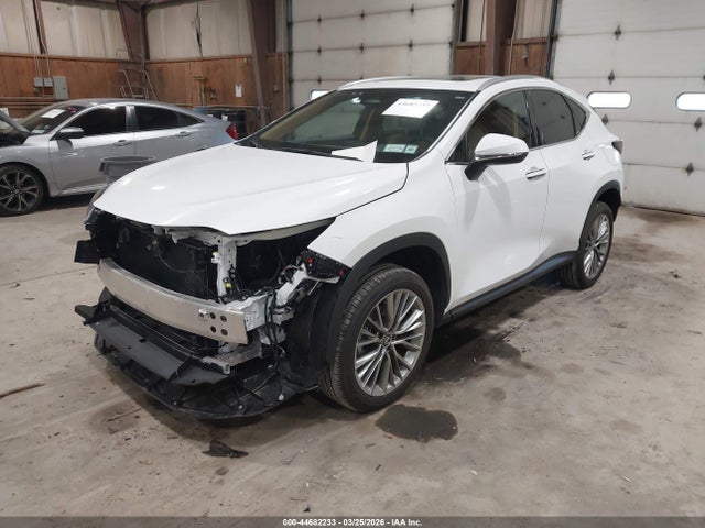 2T2GGCEZ5TC107845 Lexus Nx 350 Premium