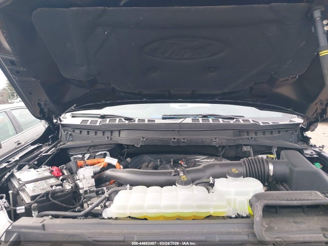 44682487 :رقم المزاد ، 1FTFW6LD8SFC39421 vin ، 2025 Ford F-150 King Ranch مزاد بيع