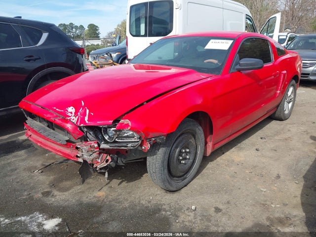 44683036 :رقم المزاد ، 1ZVBP8AM7D5262365 vin ، 2013 Ford Mustang V6 مزاد بيع