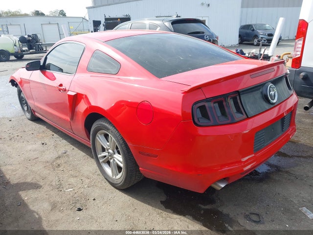 44683036 :رقم المزاد ، 1ZVBP8AM7D5262365 vin ، 2013 Ford Mustang V6 مزاد بيع