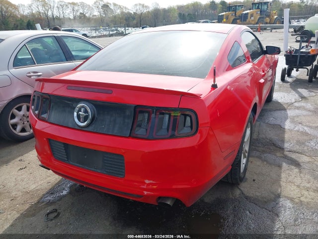 44683036 :رقم المزاد ، 1ZVBP8AM7D5262365 vin ، 2013 Ford Mustang V6 مزاد بيع