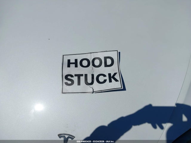 2024 TESLA MODEL 3 5YJ3E1EA0RF729202 Photo 9