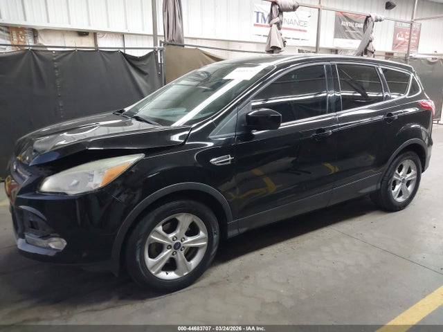 Ford ESCAPE SE 2016 1FMCU0G74GUA45249 Image 14