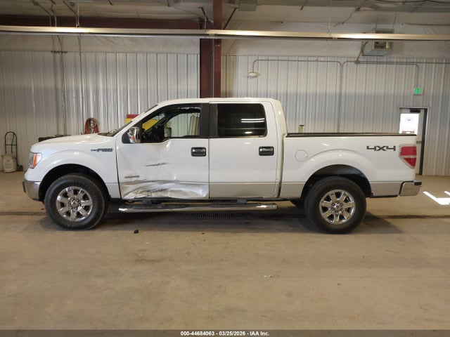 Ford F-150 Xlt 2014 1FTFW1ET3EFC71835 Image 14