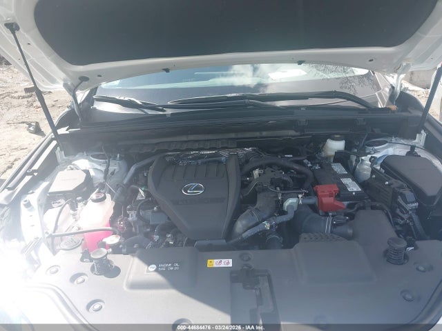 2025 Lexus Nx 350 Premium მანქანა იყიდება აუქციონზე, vin: 2T2GGCEZ5SC087031, აუქციონის ნომერი: 44684476
