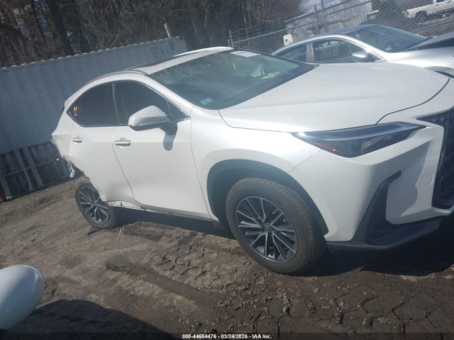 2025 Lexus Nx 350 Premium მანქანა იყიდება აუქციონზე, vin: 2T2GGCEZ5SC087031, აუქციონის ნომერი: 44684476