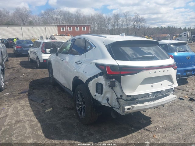 2025 Lexus Nx 350 Premium მანქანა იყიდება აუქციონზე, vin: 2T2GGCEZ5SC087031, აუქციონის ნომერი: 44684476
