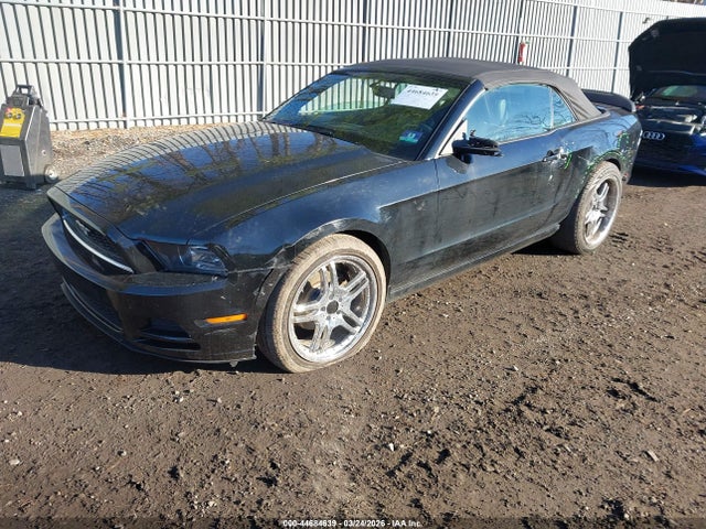 2014 Ford Mustang V6 Premium მანქანა იყიდება აუქციონზე, vin: 1ZVBP8EM8E5208388, აუქციონის ნომერი: 44684639