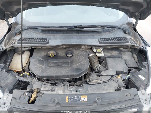 Ford ESCAPE SE 2014 1FMCU9G99EUD61524 Image 10