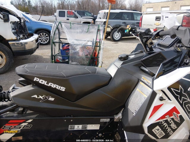 Polaris Other 2019 SN1DDLBR1KC340203 Image 5