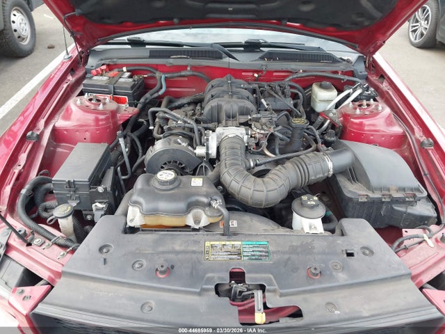 2005 FORD MUSTANG 1ZVFT80N555110335 Photo 9