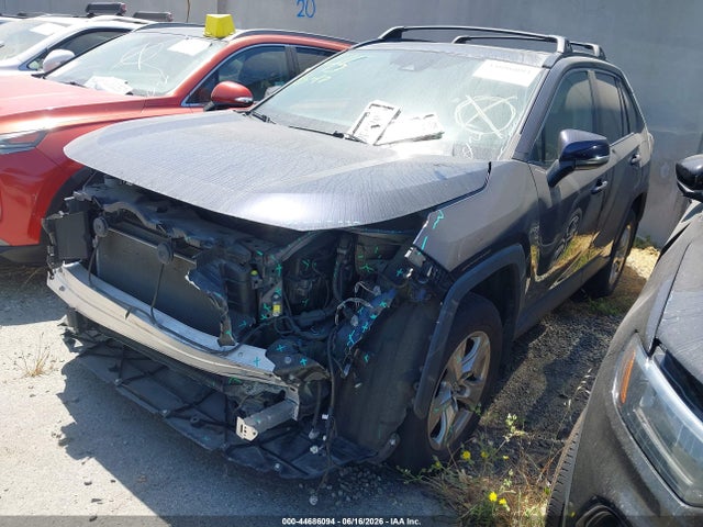 Toyota Rav4 Xle 2023 2T3W1RFV9PW246100 Image 2