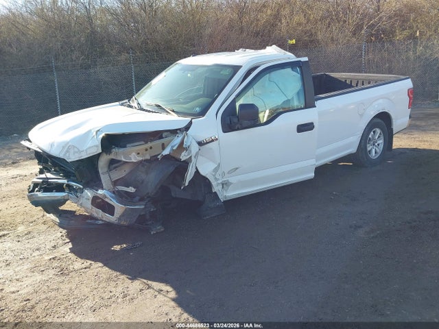 Ford F-150 Xl 2018 1FTMF1CB8JKC43905 Image 2