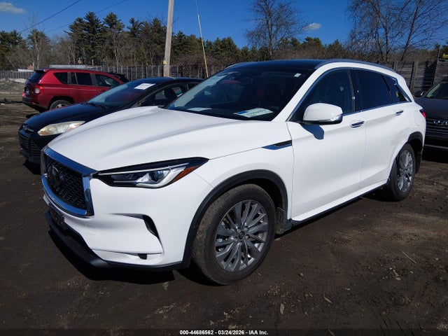 Aukcja sprzedaży 2024 Infiniti Qx50 Luxe Awd, vin: 3PCAJ5BB3RF109175, numer aukcji: 44686562