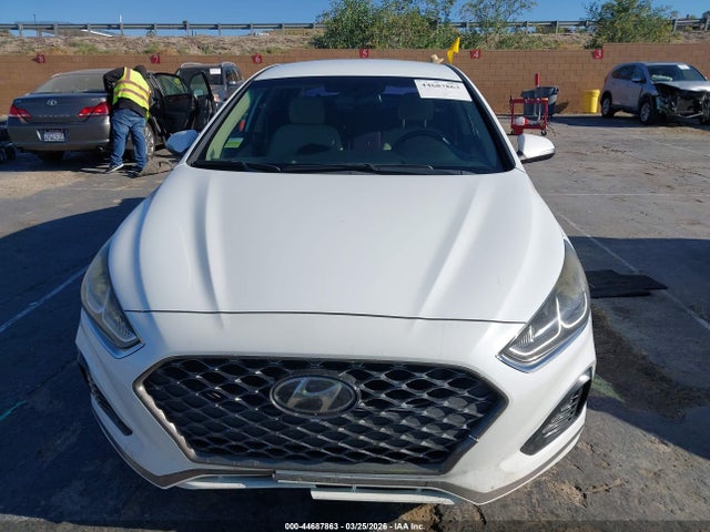 Hyundai SONATA SEL 2019 5NPE34AF4KH750613 Image 12