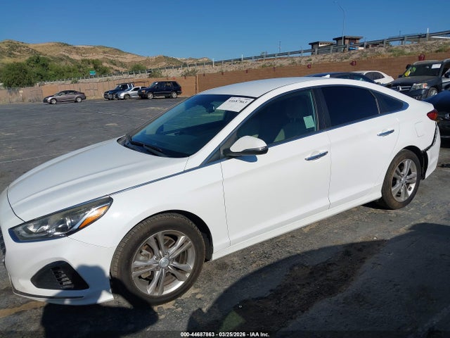 Hyundai SONATA SEL 2019 5NPE34AF4KH750613 Image 14