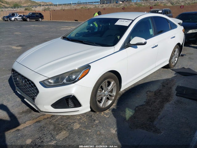Hyundai SONATA SEL 2019 5NPE34AF4KH750613 Image 2