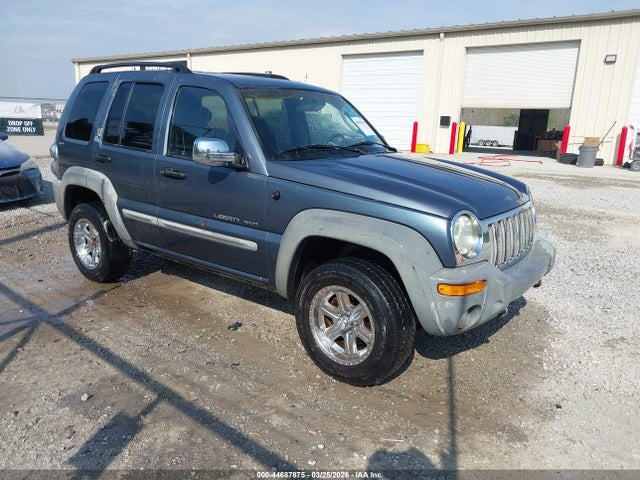 2002 JEEP LIBERTY 1J4GL48K82W190661