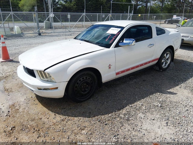 2008 FORD MUSTANG 1ZVHT80NX85115785 Photo 1