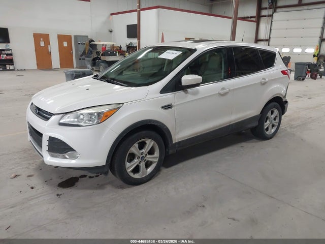 Продаж на аукціоні авто 2014 Ford Escape Se, vin: 1FMCU9GX9EUA21983, номер лоту: 44688438