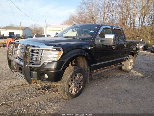 Auction sale of the 2010 Ford F-150 Fx4/harley-davidson/king Ranch/lariat/platinum/xl/xlt, vin: 1FTFW1EV7AFC42060, lot number: 44688545