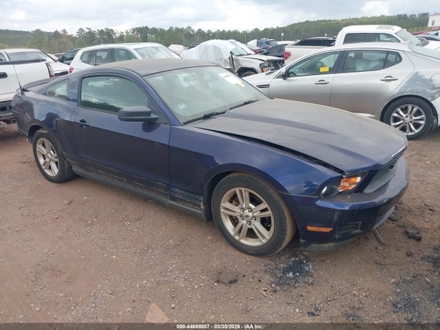 2010 FORD MUSTANG 1ZVBP8AN1A5177073