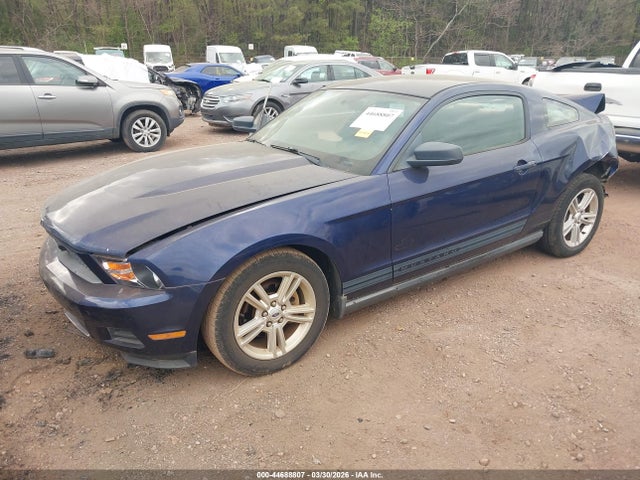 2010 FORD MUSTANG 1ZVBP8AN1A5177073 Photo 1