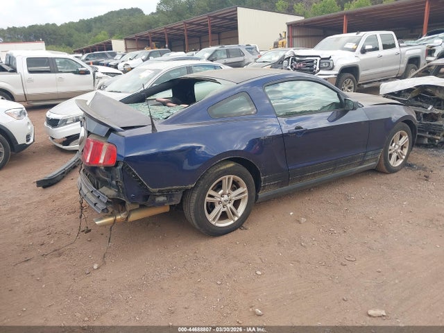 2010 FORD MUSTANG 1ZVBP8AN1A5177073 Photo 3
