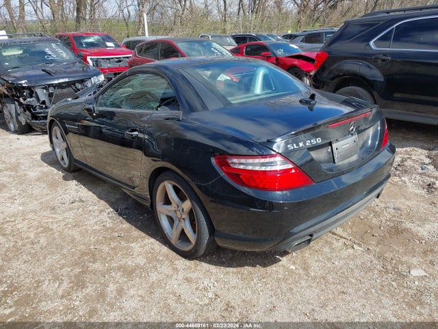2014 MERCEDES-BENZ SLK 250 WDDPK4HA6EF076457 Photo 2