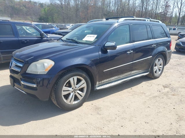 2010 MERCEDES-BENZ GL 450 4JGBF7BE0AA542652 Photo 1