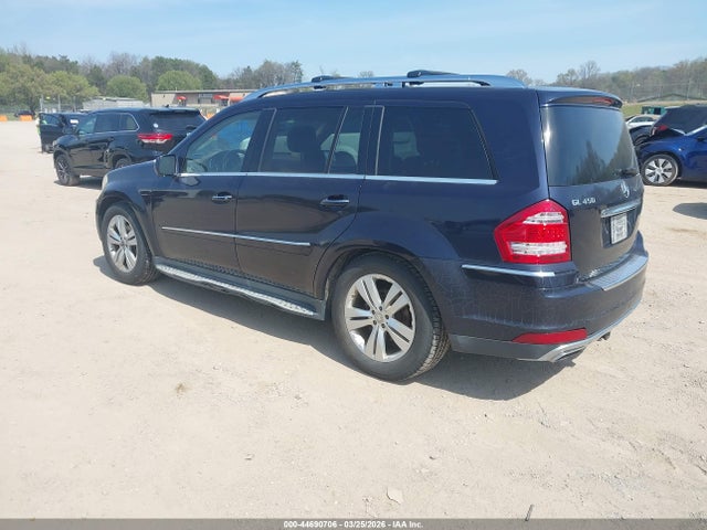 2010 MERCEDES-BENZ GL 450 4JGBF7BE0AA542652 Photo 2