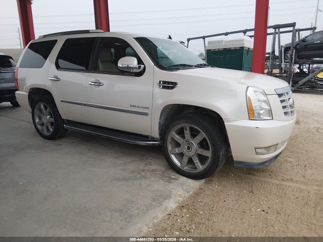 2011 CADILLAC ESCALADE 1GYS4BEF8BR264081