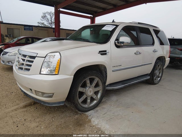 2011 CADILLAC ESCALADE 1GYS4BEF8BR264081 Photo 1