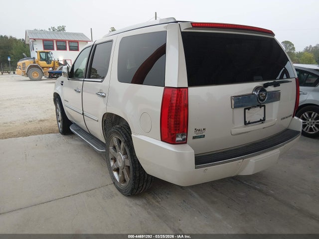 2011 CADILLAC ESCALADE 1GYS4BEF8BR264081 Photo 2