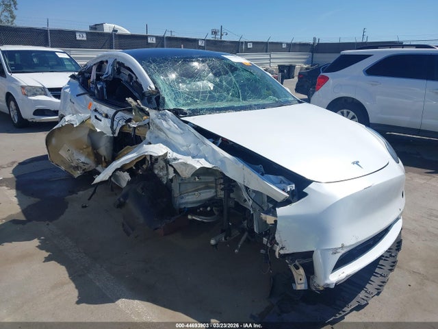 2021 TESLA MODEL Y 5YJYGDED5MF113984