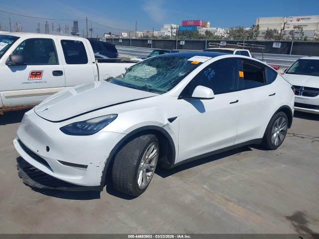 2021 TESLA MODEL Y 5YJYGDED5MF113984 Photo 1