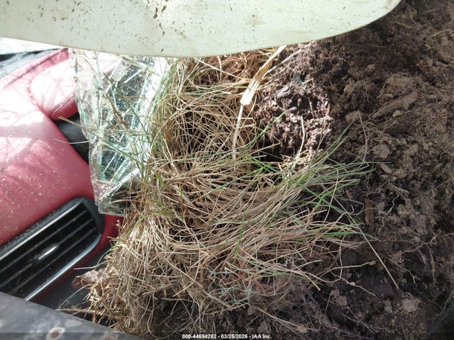 2019 MASERATI LEVANTE ZN661XUS4KX328204 Photo 6